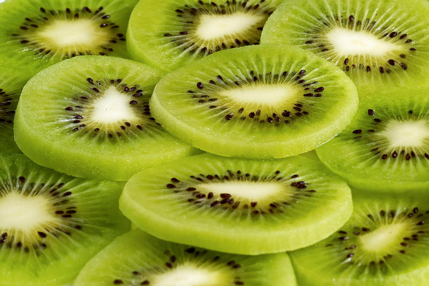 Puzzle Rodajas de kiwi