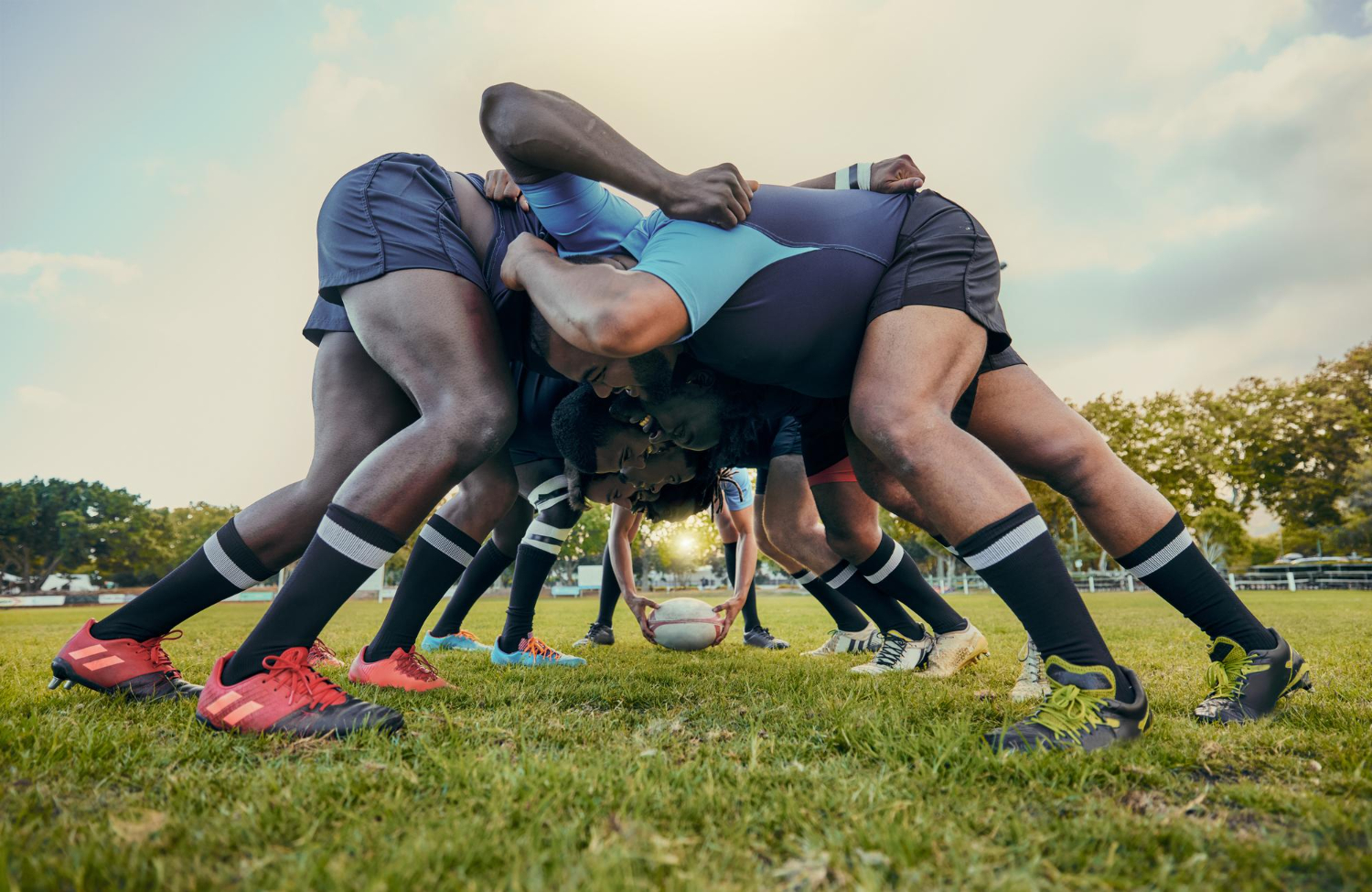 Puzzle Jugadores de rugby