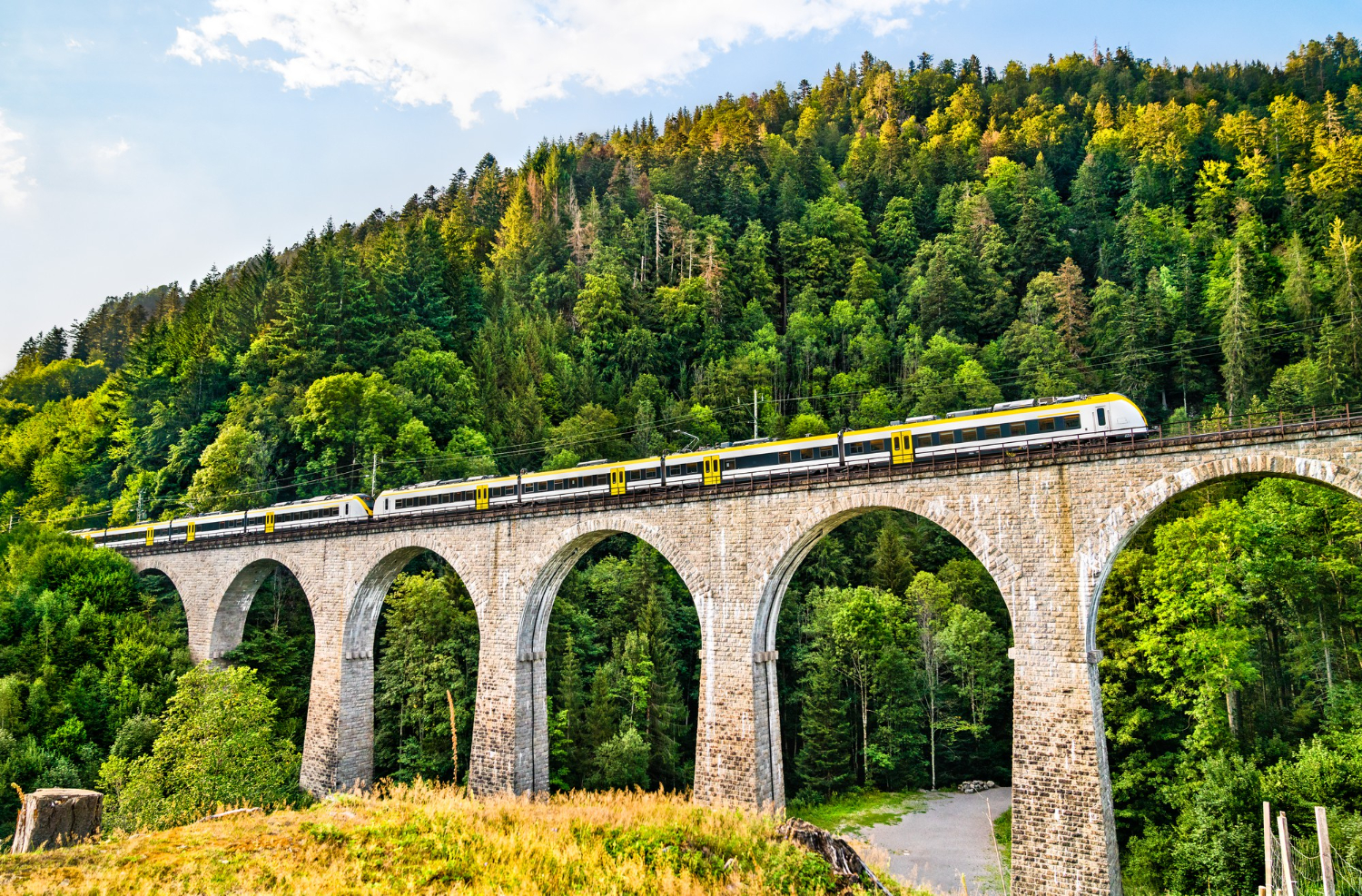 Puzzle Tren pasa por el viaducto en Alemania