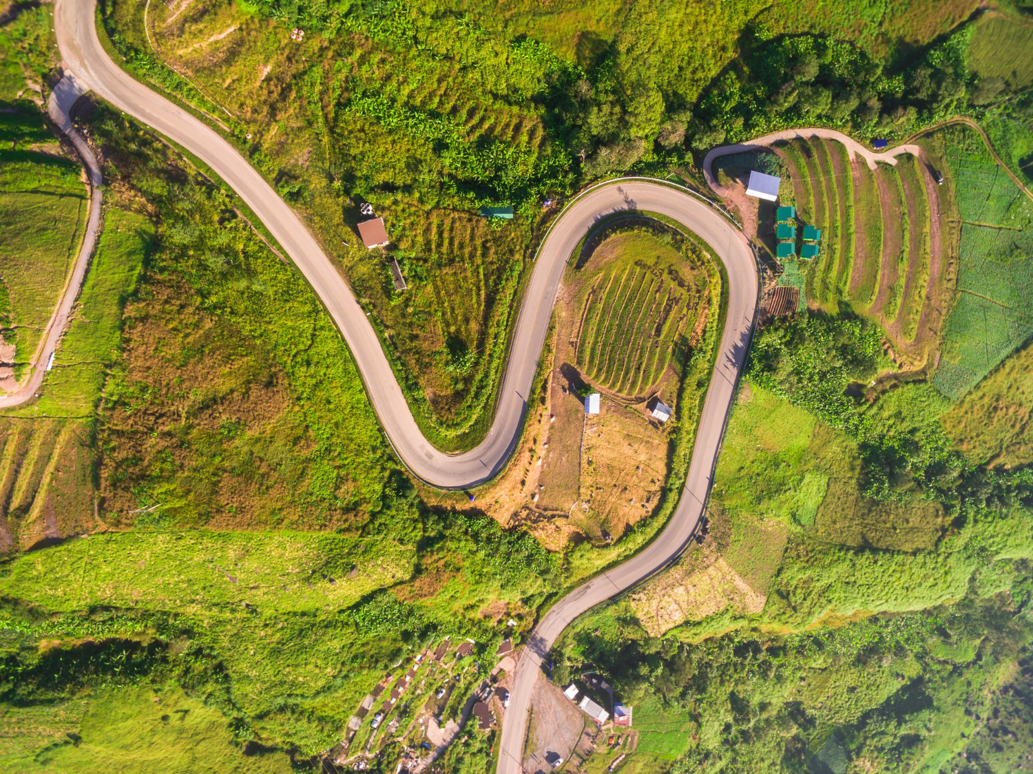 Puzzle Carretera sinuosa