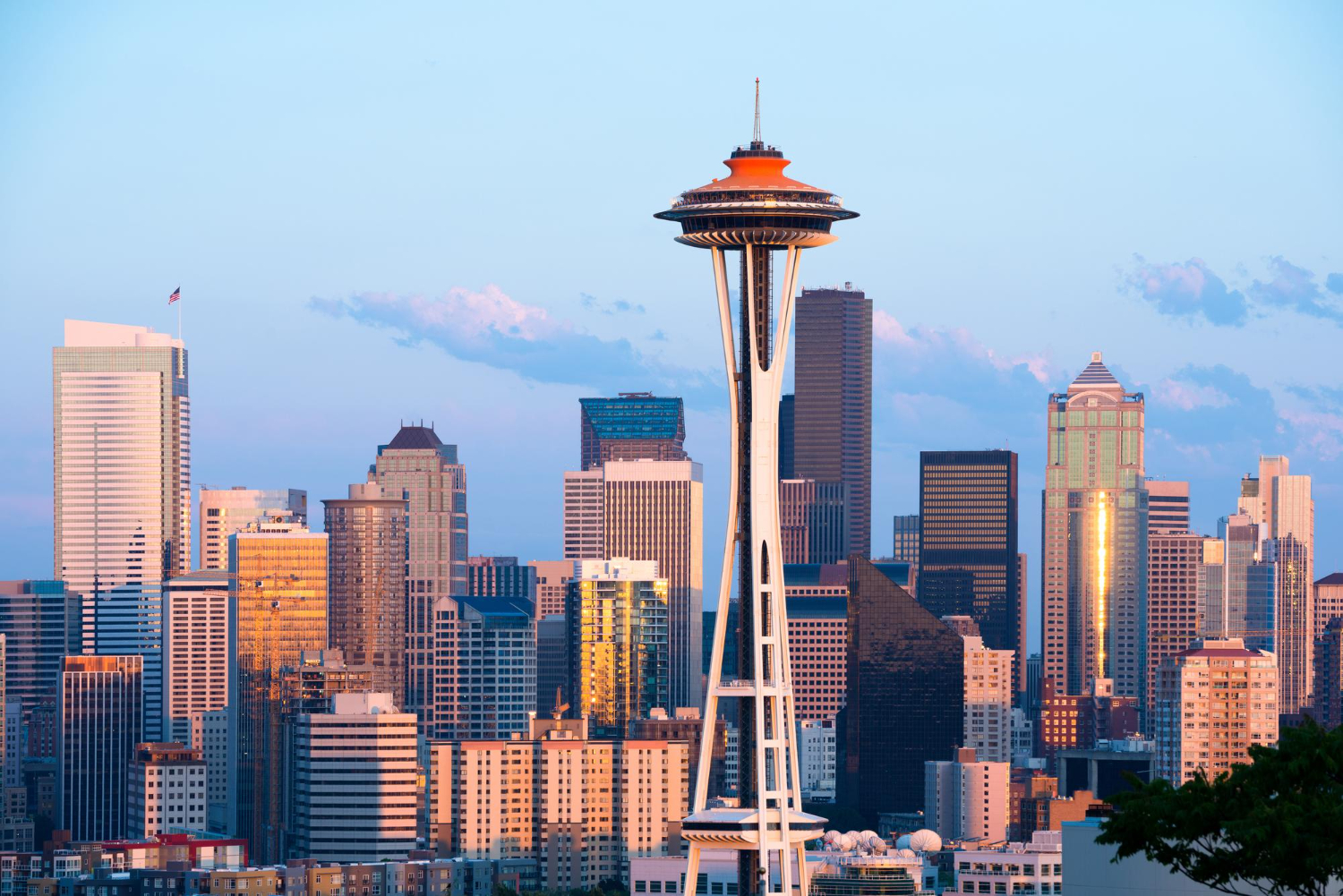 Puzzle Seattle skyline