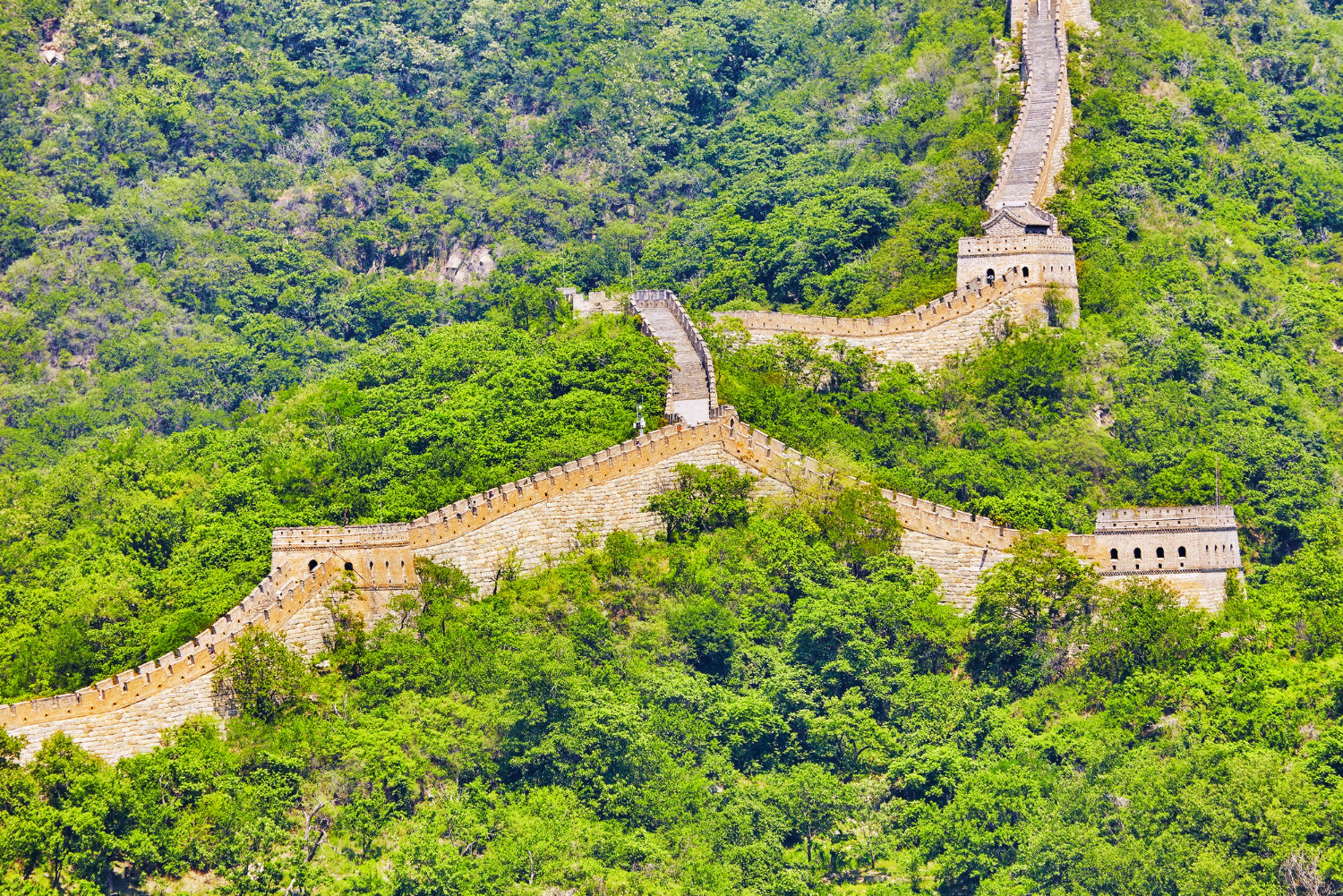 Puzzle Gran Muralla China