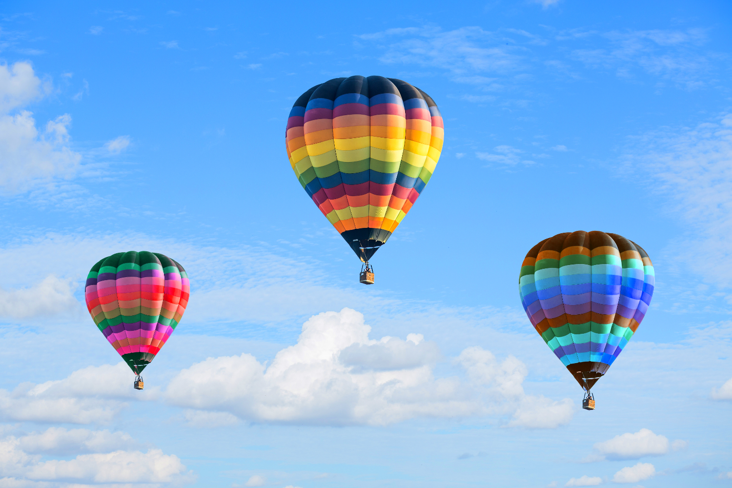 Puzzle Globos en el aire