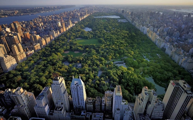 Puzzle Central Park Nueva York
